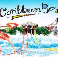 캐리비안베이+에버랜드 오후 종일권 2장 일괄