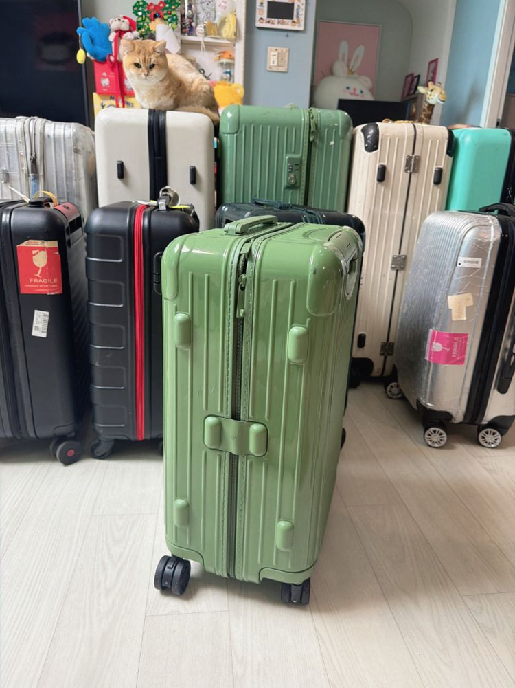 리모와 에센셜 캐빈 녹색 캐리어--3