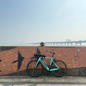 무하자급 캄파놀로 보라원 35 교신 봅니다 이미지