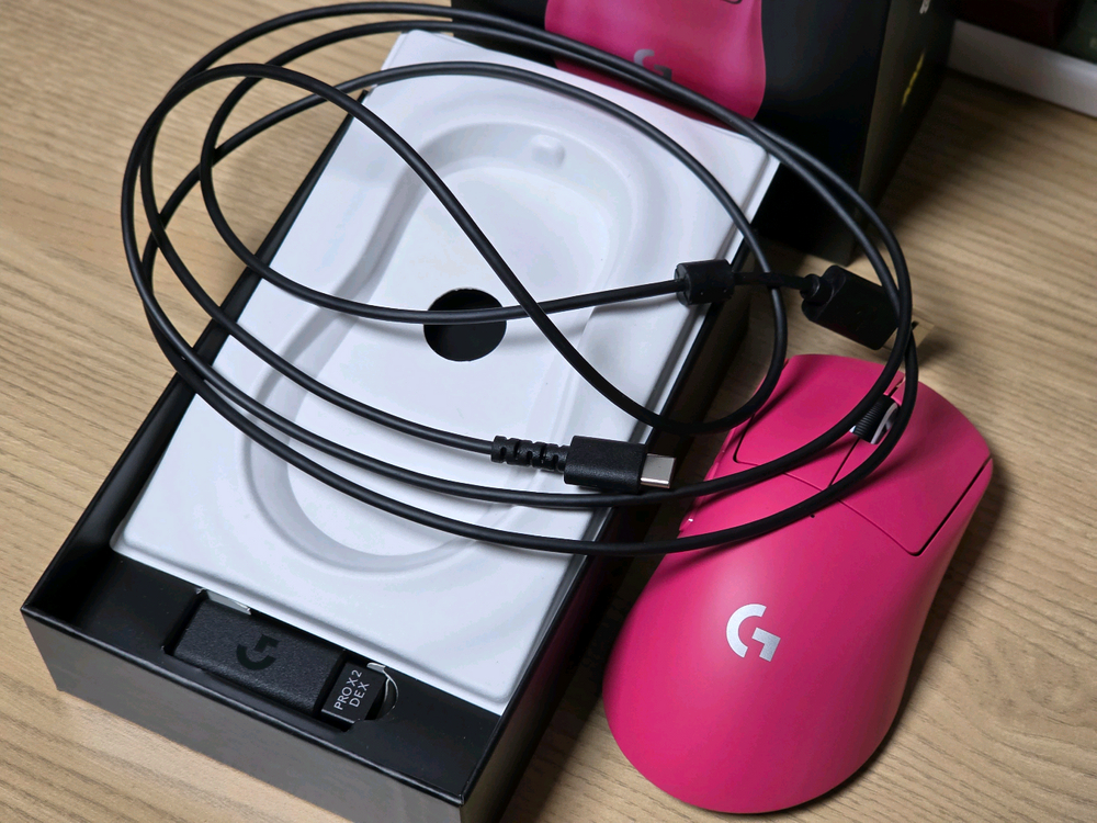 지슈라2 덱스+미개봉 충전독 판매합니다--5