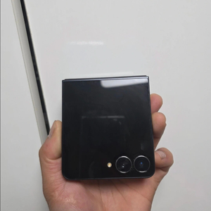 Z플립7 256gb