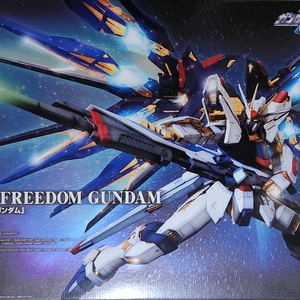 PG 스트라이크 프리덤 건담 프라모델 미개봉