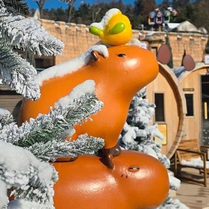 캐리비안베이 종일권 +에버랜드 오후권_모바일 티켓