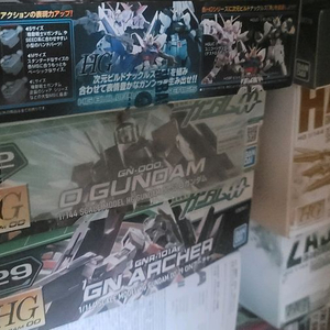 HG 하루트 최종결전