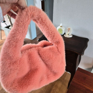 자라퍼가방 이미지