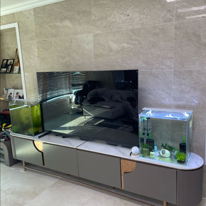 (자녀용) 물멍 인테리어 TV 다이 위에 올려 놓는 수조 프리미엄 자반 어항 세트 판매 이미지