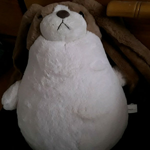 타자기 인형 + 스누피 봉제필통 + 잔망루피 위클리 플래너 덤드려요 판매 합니다 이미지