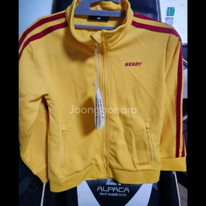 널디 트레이닝 세트 트랙 셋업 s사이즈