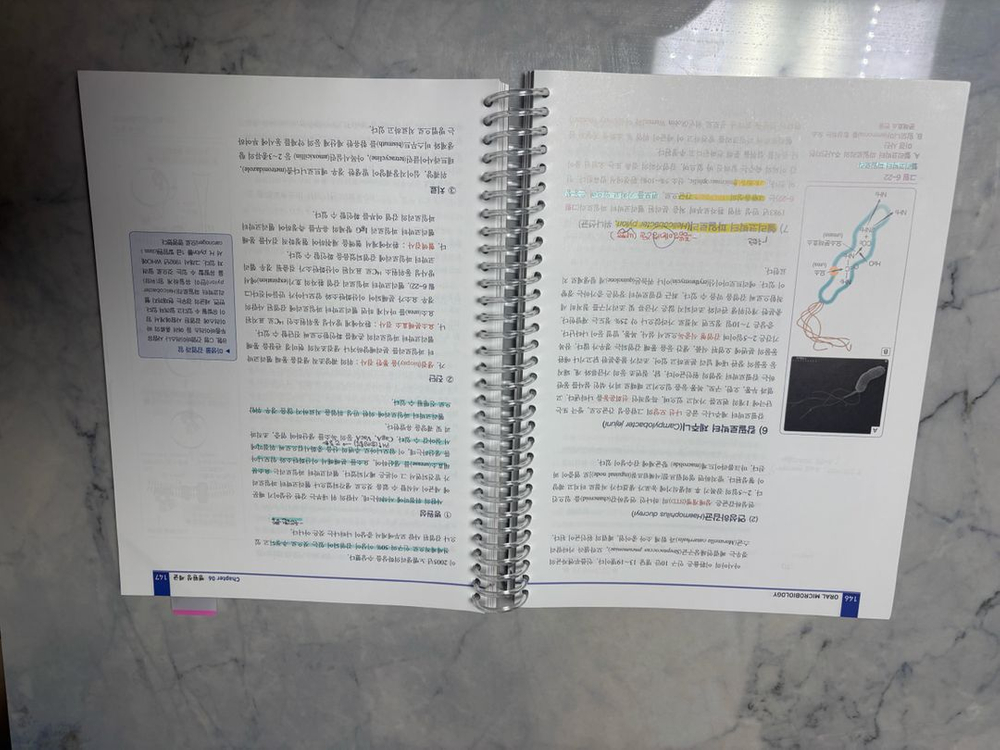 구강미생물학 의학교육 차정헌 치위생사 대학 교재--1