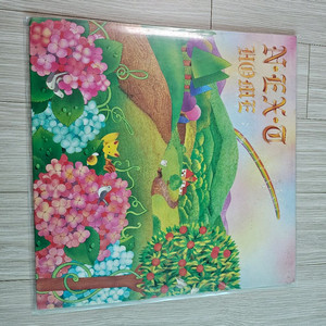 넥스트 1집(신해철) lp판 - 인형의 기사