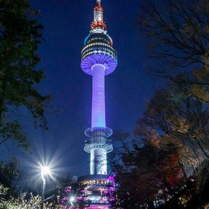 N서울타워 전망대 대인 이용권 (2매)