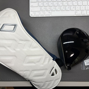 테일러메이드 Qi10 Max 9도 드라이버 헤드 (추가 무게추 증정)1. 제품 정보• 모델명: 테일러메이드 Qi10