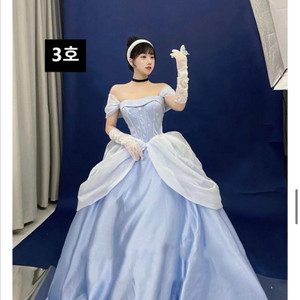 성인용 신데렐라드레스