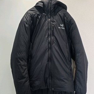 아크테릭스 누클리아이sv 그래파이트 L사이즈 크림구매 택보유