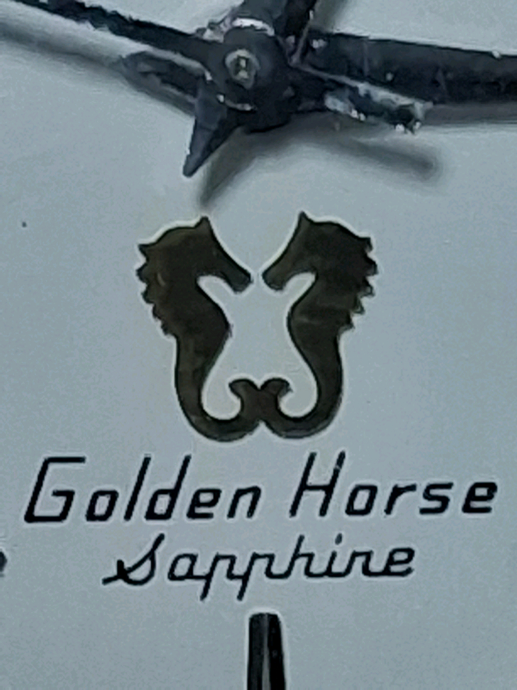 라도 골덴호세 자동시계 팝니다 이미지