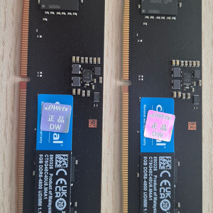 DDR5 8GB 메모리 2개 세트 이미지
