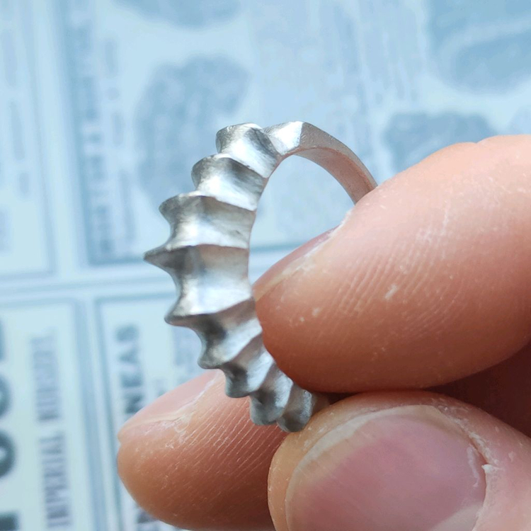 해마 은반지 이미지