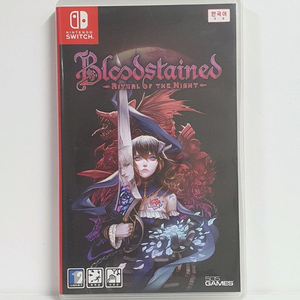 닌텐도스위치 블러드 스테인드 리추얼 오브 더 나이트