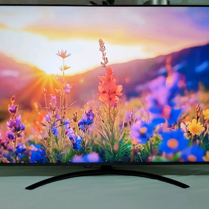 LG전자 최고급 75인치 PREMIUM NanoCell SMART TV 2.2채널 20W 우퍼 스피커 사운드 시스템