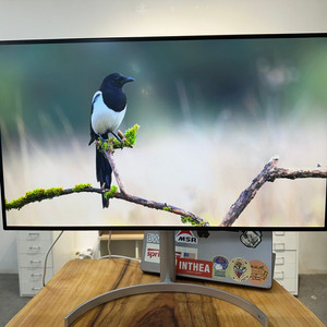 LG 32인치 32UL950 썬더볼트 4K 모니터 이미지