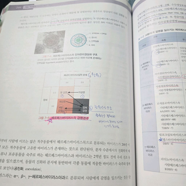 의학교육 보건인을 위한 핵심 미생물학--2