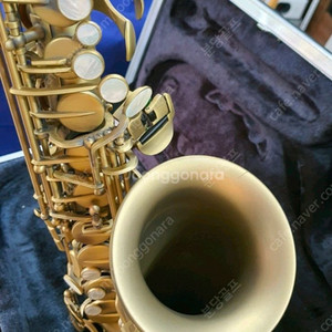 셀마 레퍼런스 급 가성비최고의 엔틱 알토색소폰 프랑스 셀마장인의 명기 제니쿠퍼입니다. 이미지