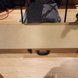 일렉기타 하드케이스 판매합니다(신동품)