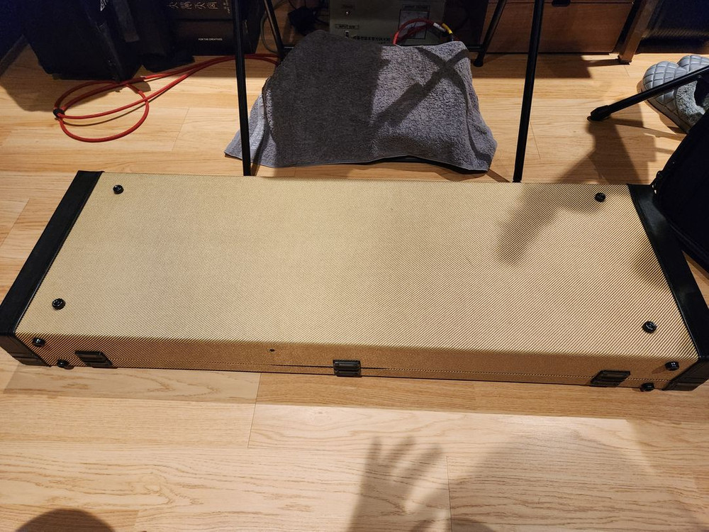 일렉기타 하드케이스 판매합니다(신동품)--1