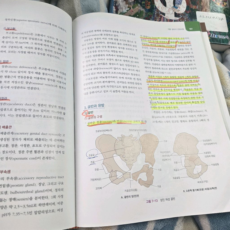 현문사 여성건강간호학 제6판 세트--2