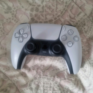 듀얼센스 무선 컨트롤러