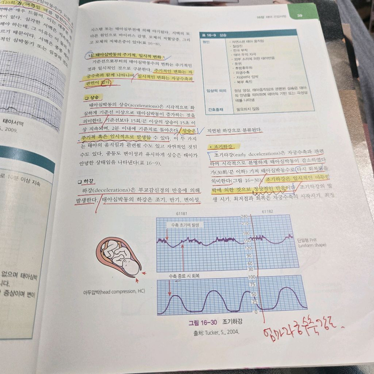 현문사 여성건강간호학 제6판 세트--6