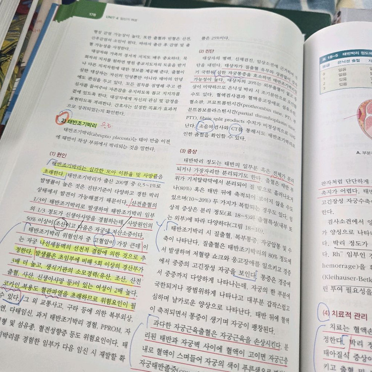 현문사 여성건강간호학 제6판 세트--7