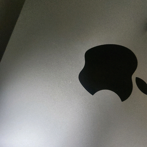 맥스튜디오 울트라 M3 256이상 삽니다.(직거래)