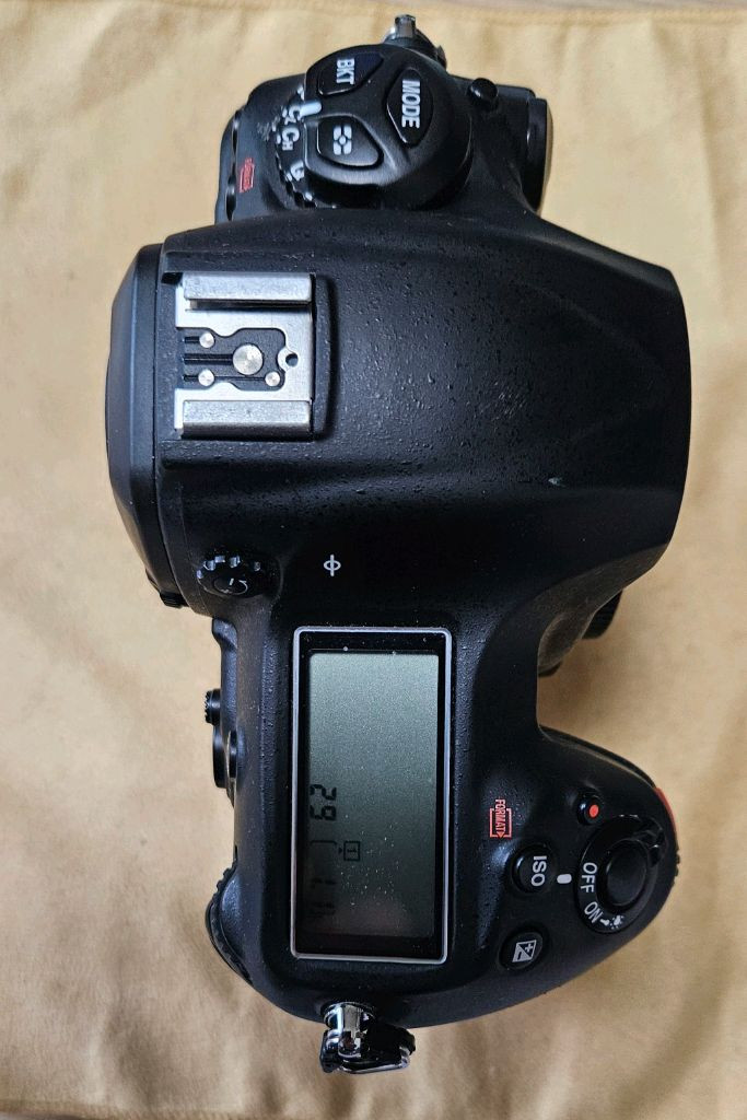 니콘 D5 CF타입--3