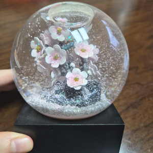 쿨스노우글로브(브랜드) 벚꽃 스노우볼