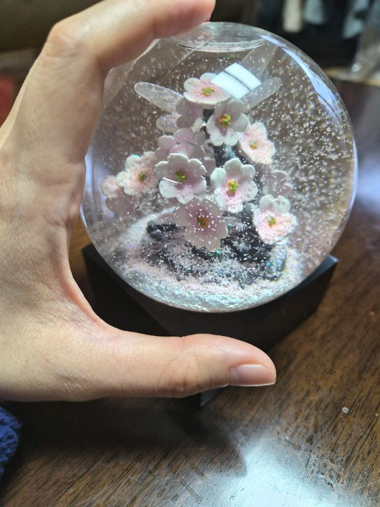 쿨스노우글로브(브랜드) 벚꽃 스노우볼--1