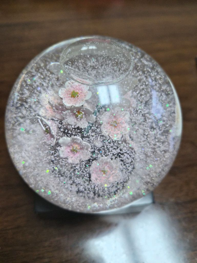 쿨스노우글로브(브랜드) 벚꽃 스노우볼--3