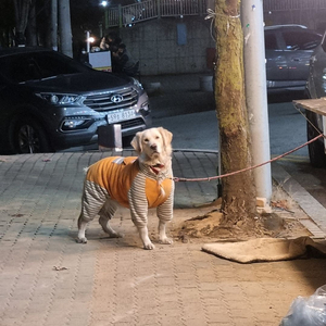 네이버포인트 구매합니다(120만)