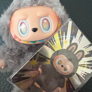 정품 라부부 하이라이트 시크릿 자아 이미지