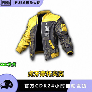 배그 스킨 huya jiscar 자켓 코드 이미지