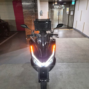 25년식 혼다 pcx (페리모델)