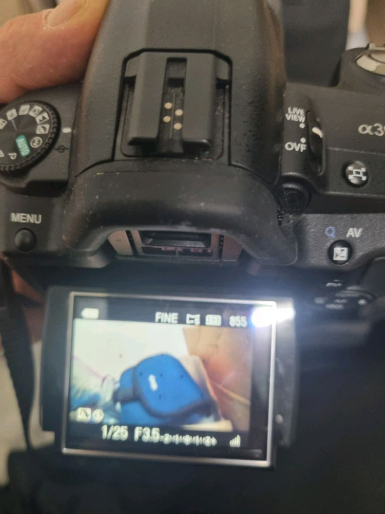 소니 a390 미러리스 디지털 카메라--1