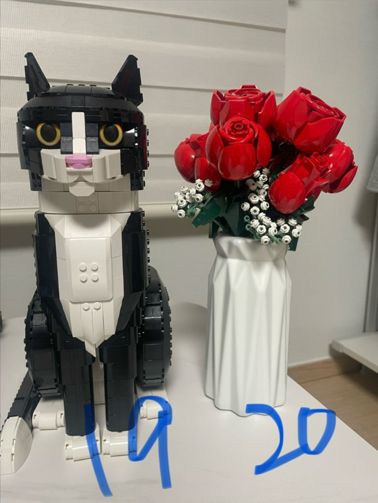 레고 정리합니다 (10304 10321 10265)--7