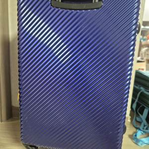 에버라스트 28인치 하드케이스 캐리어