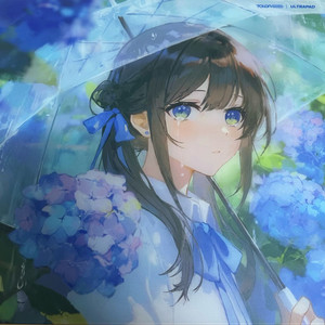 Talongames nagisa 탈론게임즈 나기사 유리패드