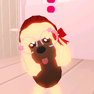 입양하세요 펫 제시로 팔아요 이미지