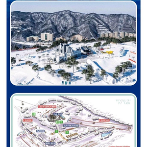 비발디파크 스노위랜드 종일권