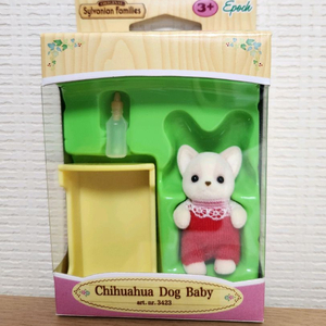 실바니안 치와와 직립 아기 올드