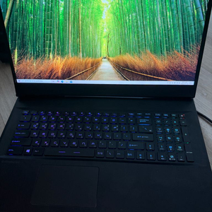 MSI gp76 Rtx3070 노트북 램 64기가