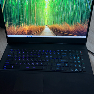 MSI gp76 Rtx3070 노트북 램 64기가